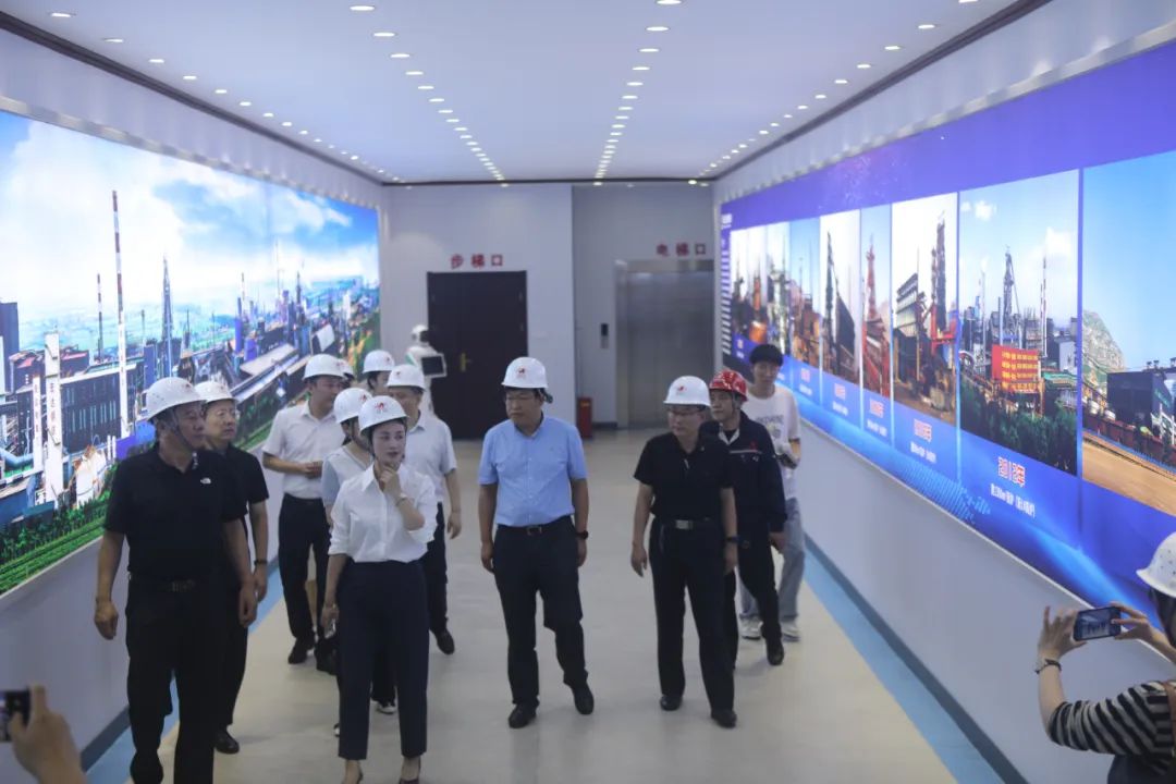 武文赤一行来集团调研智慧工厂建设